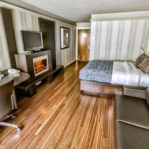 Modern Queen Room